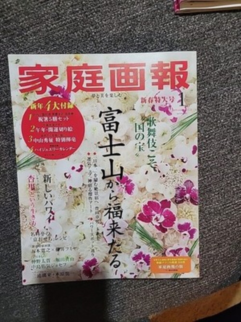 Home Pictorial January 2026 Guide Book Japanese